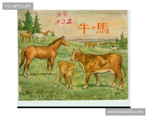 牛牛的经济价值及其对地方经济发展的促进